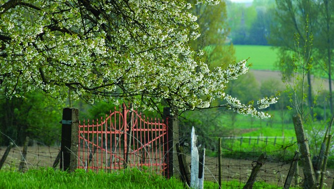 voorjaarsaanbieding brabant